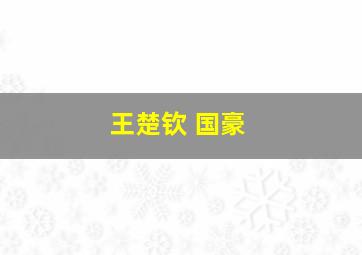 王楚钦 国豪